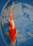 wp2853d469_0f.jpg