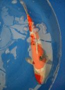 wp39e98015_0f.jpg