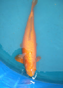 wp59c9cbe0_0f.jpg