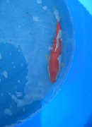 wp6b497a2c_0f.jpg