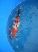 wp73810bca_0f.jpg