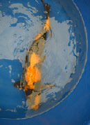 wp8b23cb66_0f.jpg