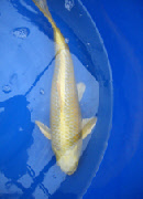 wp9230dbf2_0f.jpg
