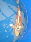 wp9397bf98_0f.jpg
