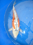 wp989df72c_0f.jpg