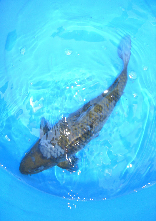 wp9951acd6_0f.jpg