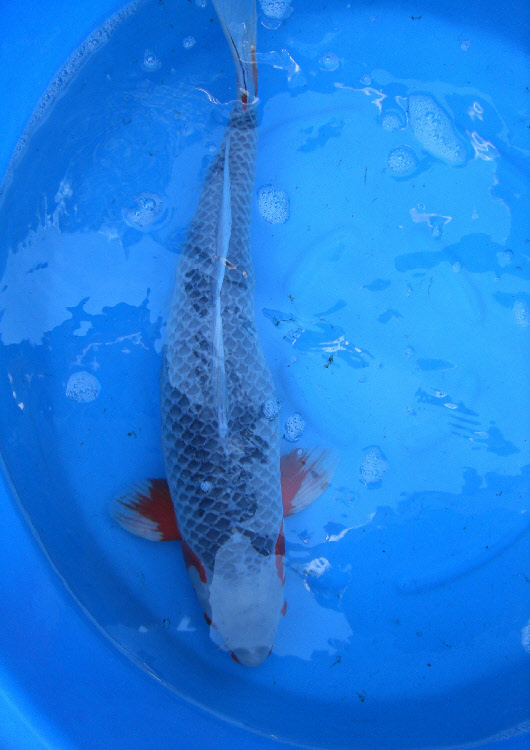 wpcf58e506_0f.jpg